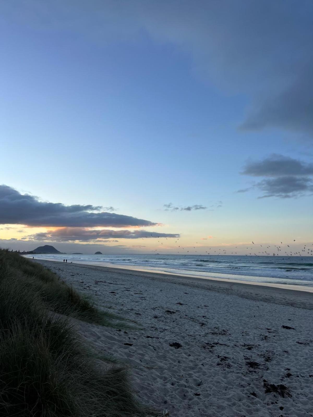 Papamoa Beach, Pohutukawa Deluxe Studio, On Hugoway エクステリア 写真